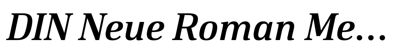 DIN Neue Roman Medium Italic